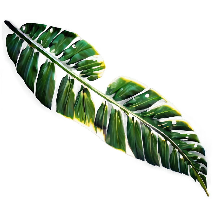 Tropical Leaf Cutout Png 17