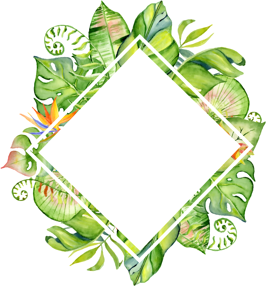 Tropical Leaf Frame Watercolor