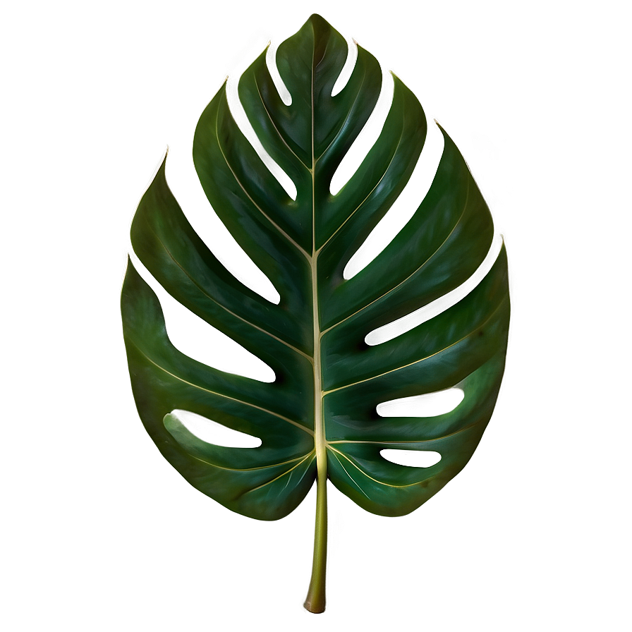 Tropical Leaf Pattern Png Ody