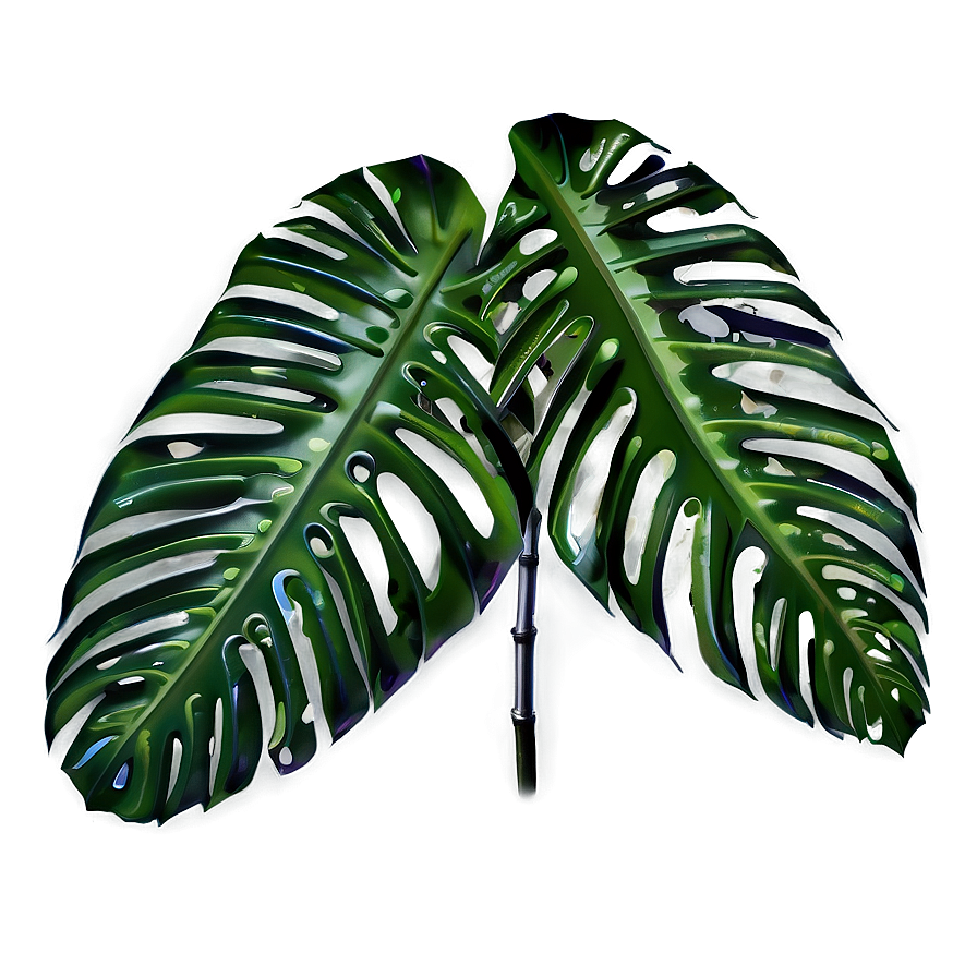 Tropical Leaf Png 06252024