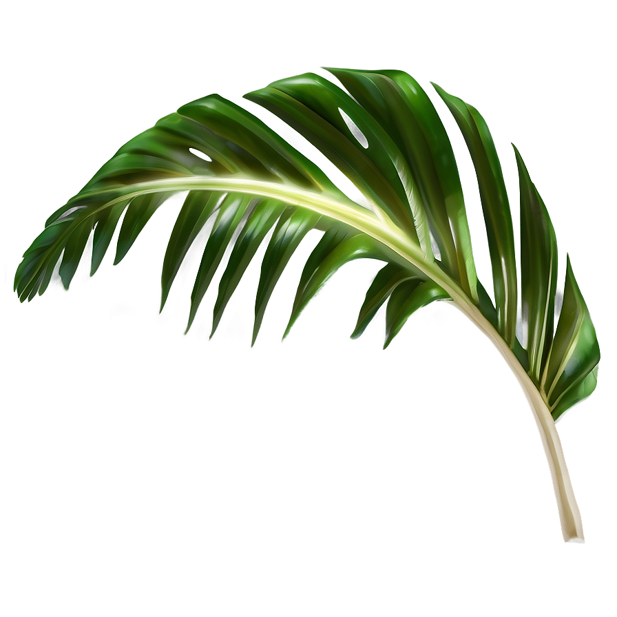 Tropical Leaf Png Uxd88