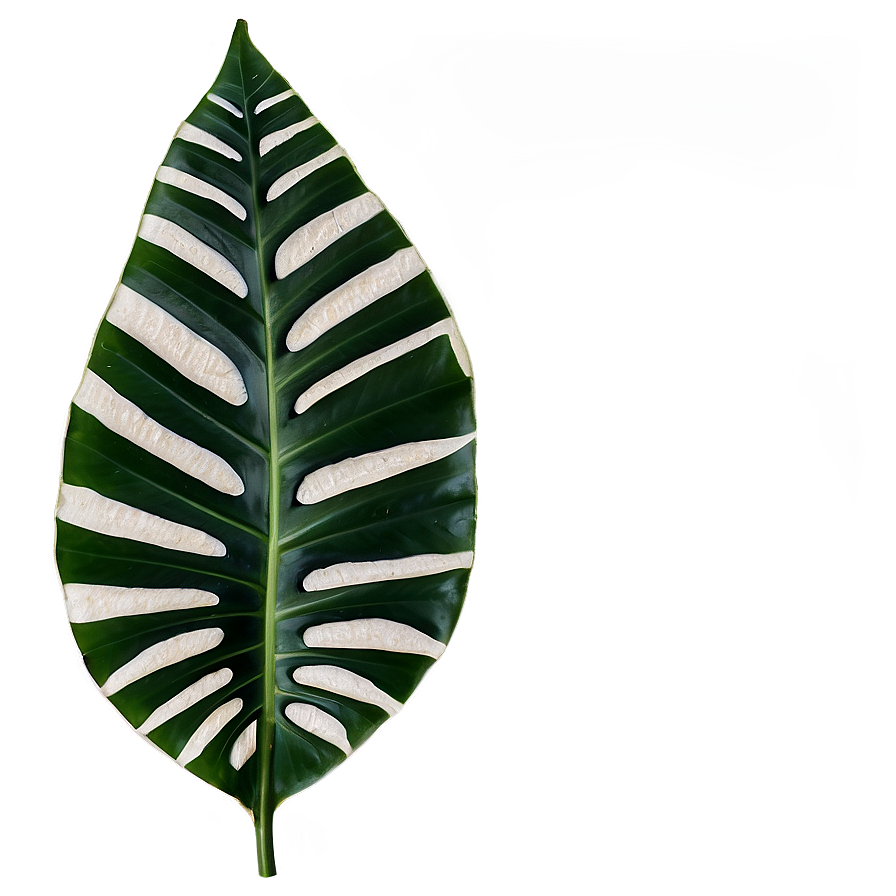Tropical Leaves Png 18