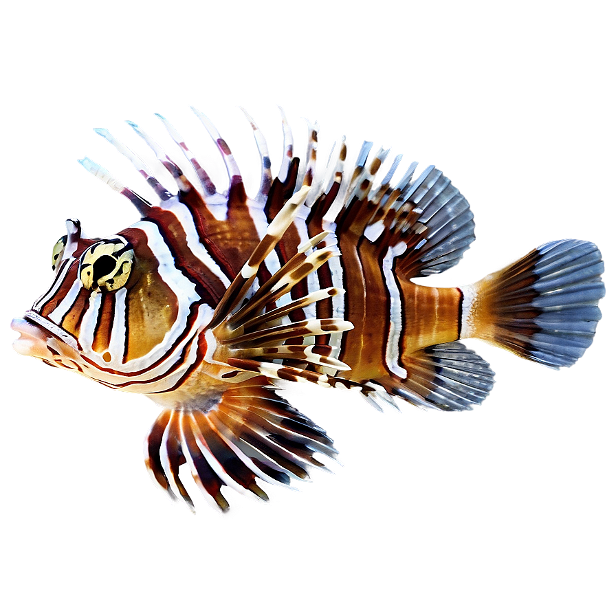 Tropical Lionfish Png Lqu