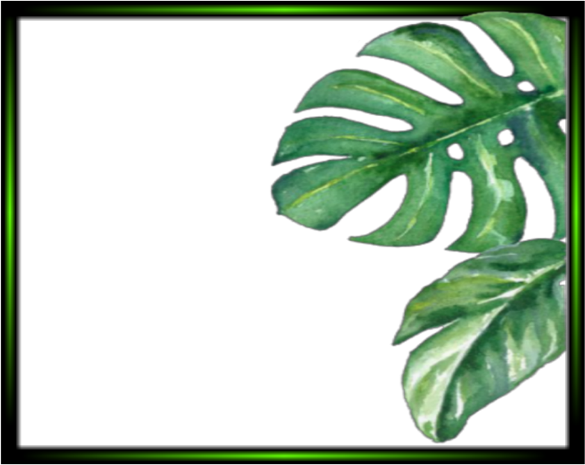 Tropical Monstera Leaves Frame