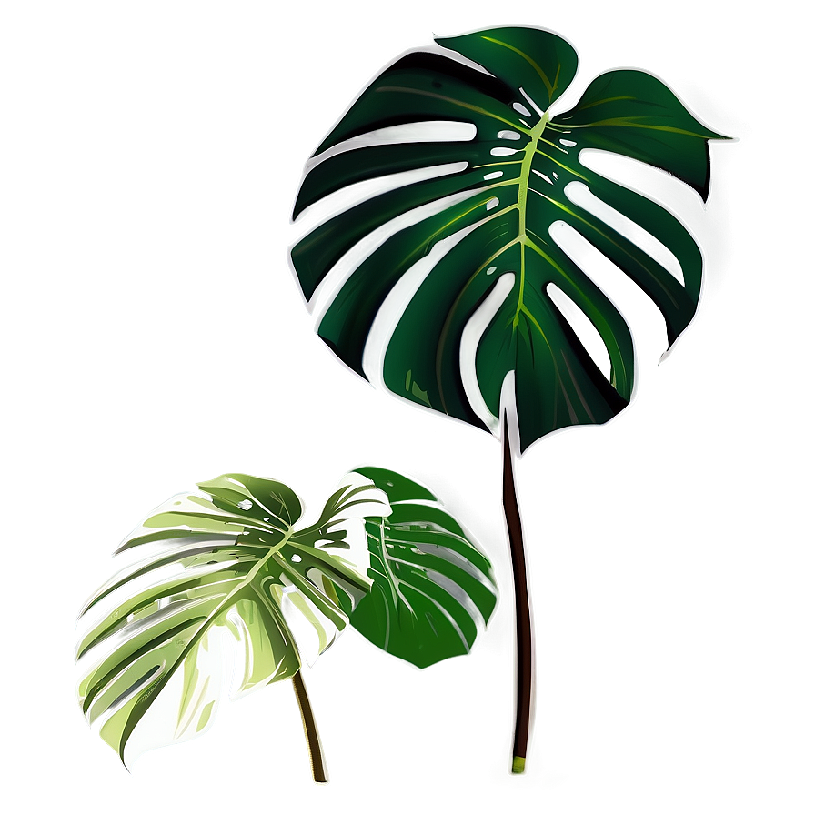 Tropical Monstera Silhouette Png 63