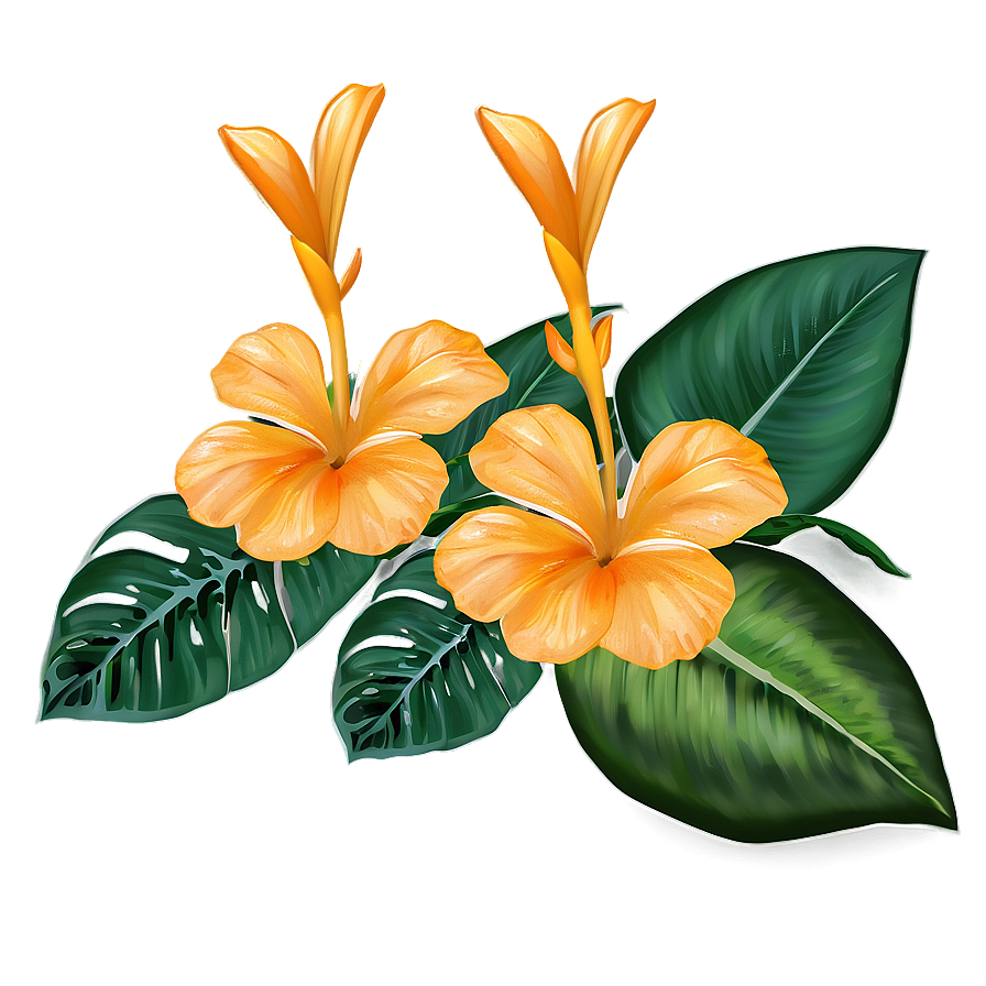 Tropical Orange Flower Png 50