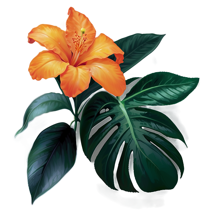 Tropical Orange Flower Png Lsy38