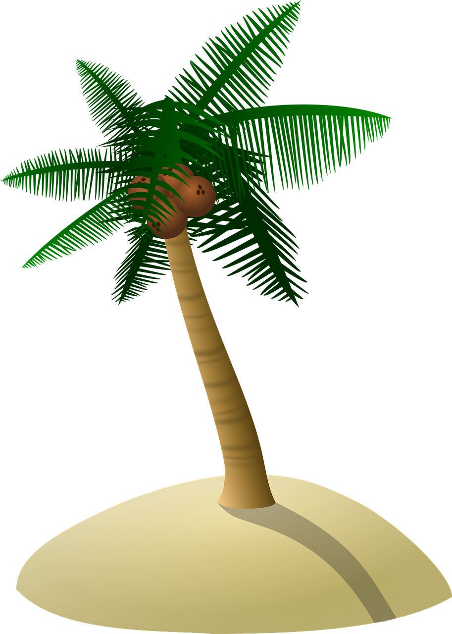 Tropical Palm Island Illustration