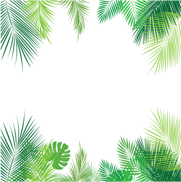 Tropical Palm Leaves Frame