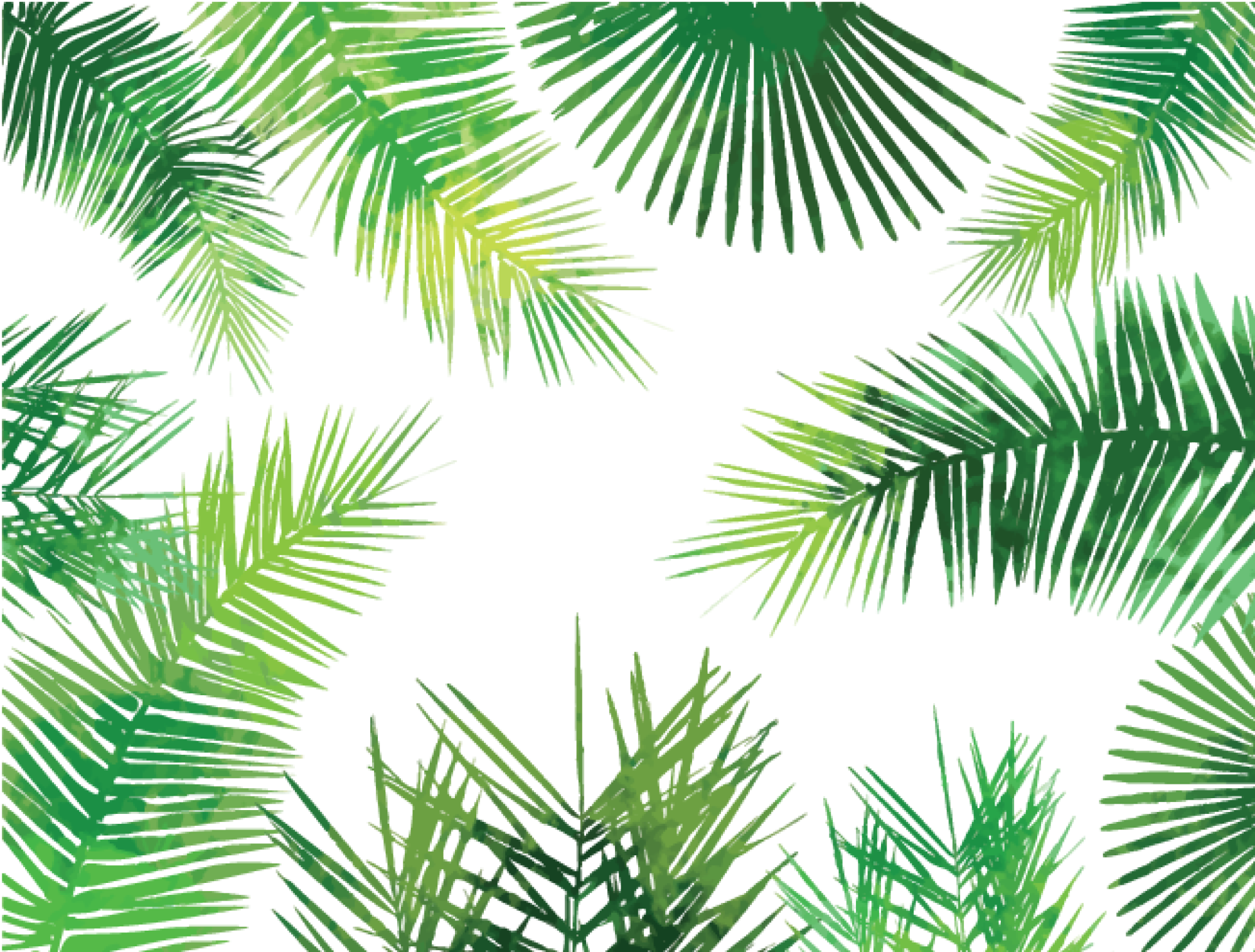 Tropical Palm Leaves Pattern