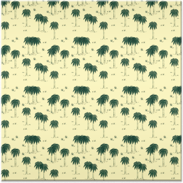 Tropical Palm Pattern Background