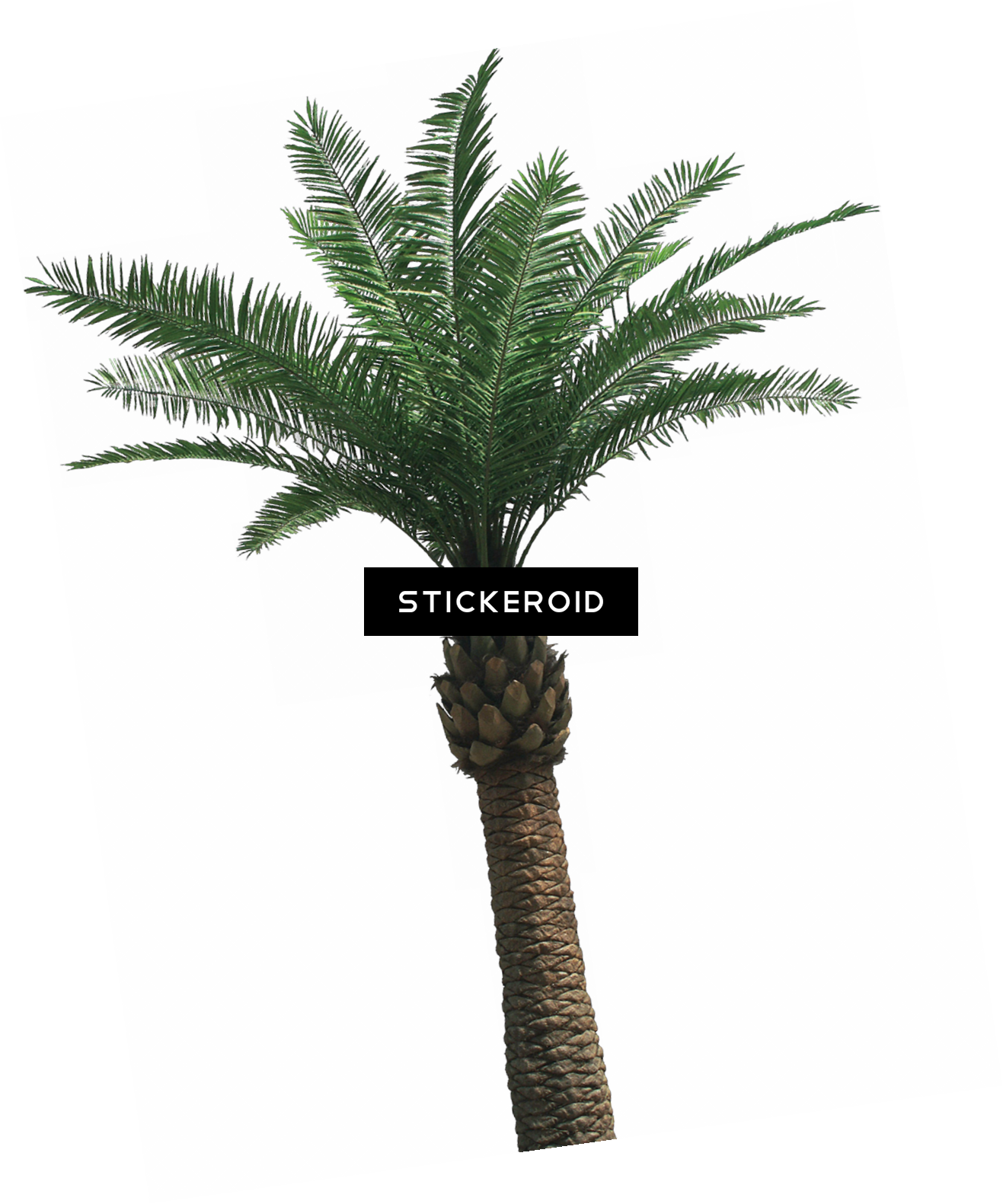 Tropical Palm Tree Artistic Background