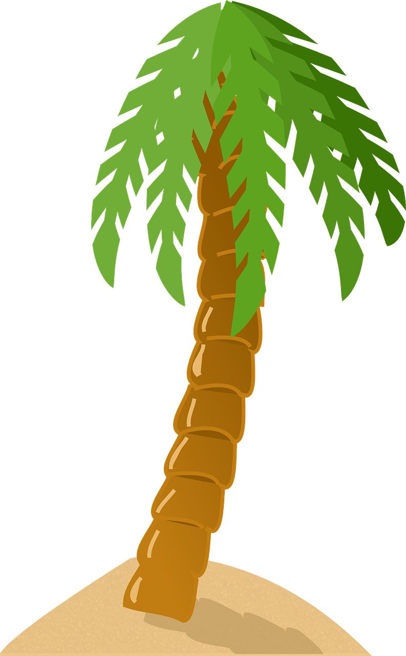 Tropical Palm Tree Graphic