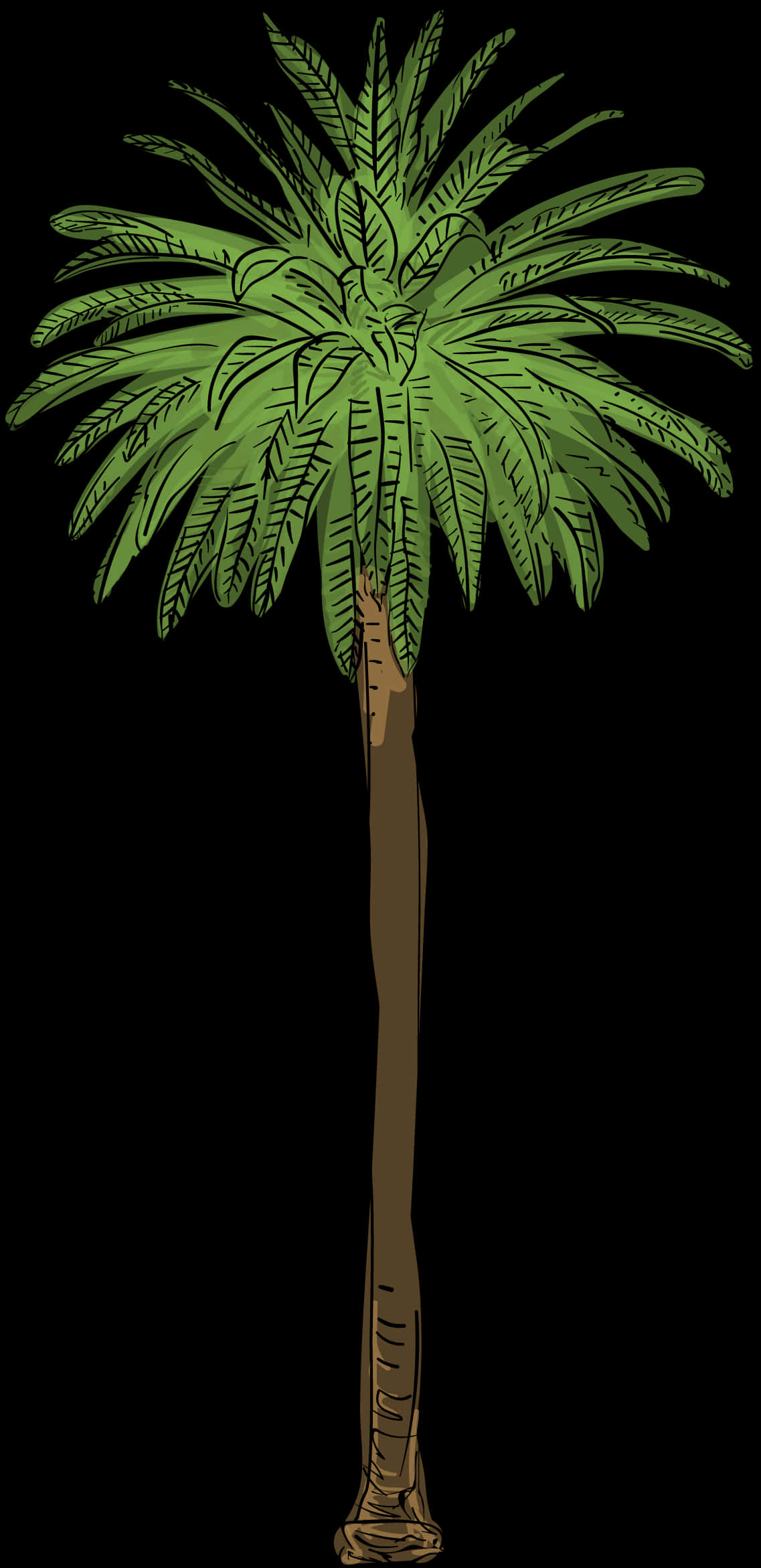 Tropical Palm Tree Illustration