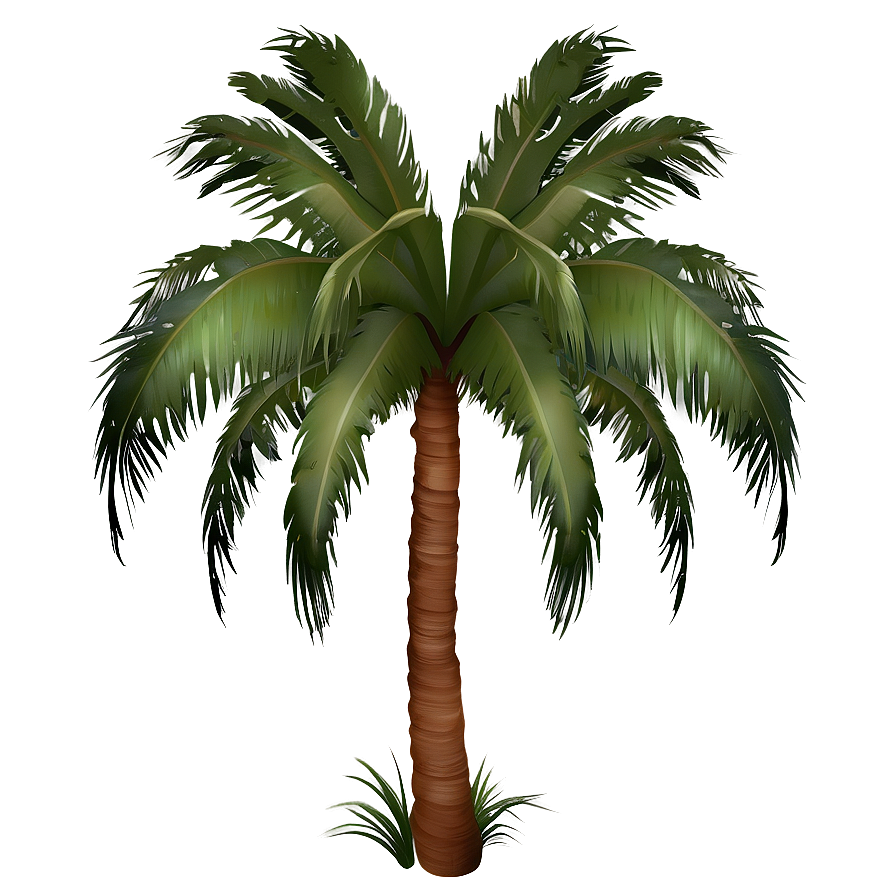 Tropical Palm Tree Png 04292024