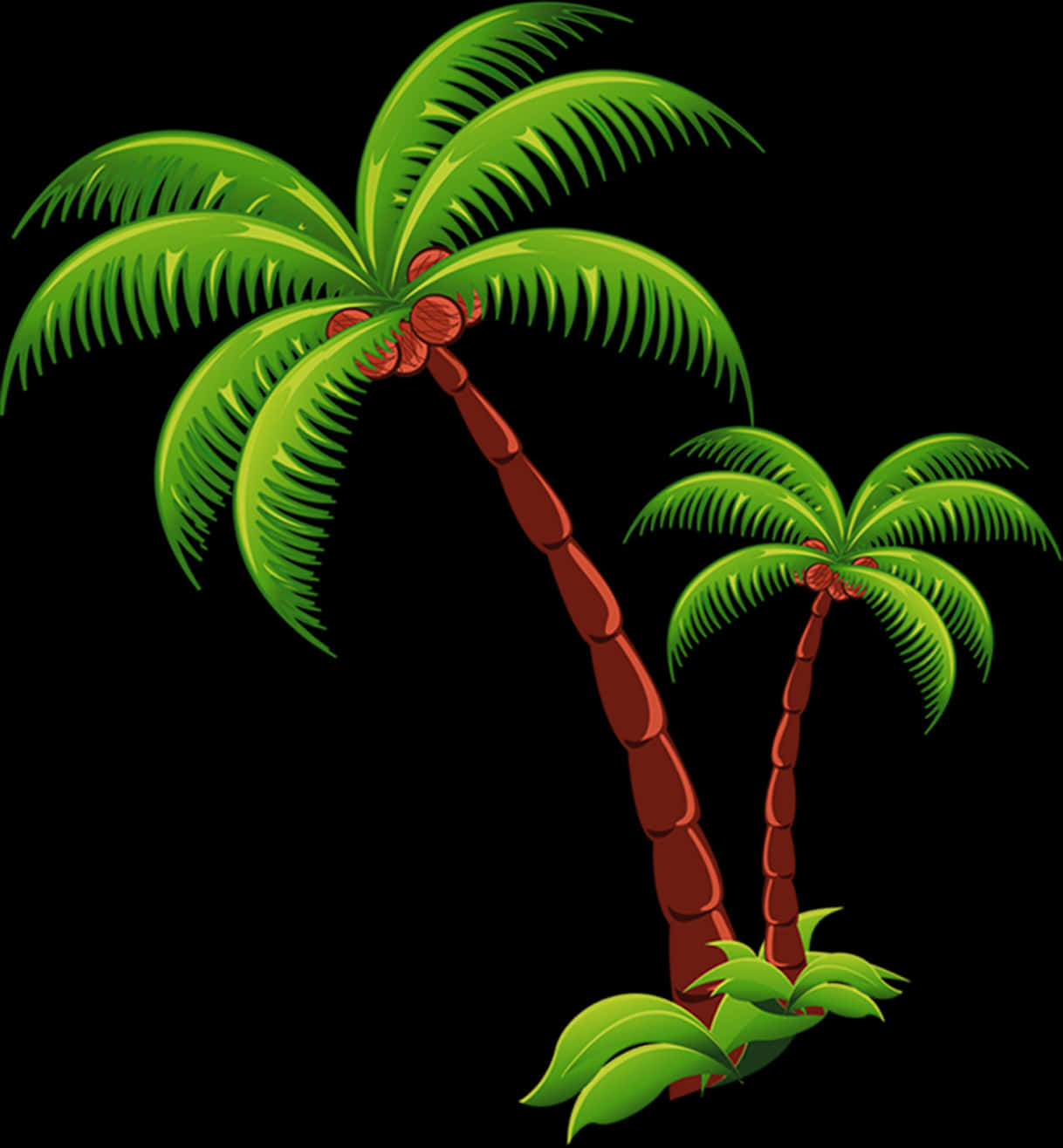 Tropical Palm Trees Illustration