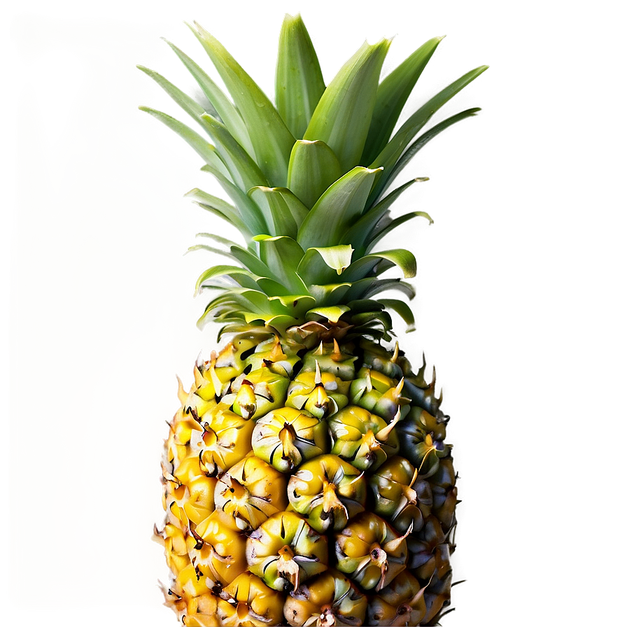 Tropical Pineapple Png 14