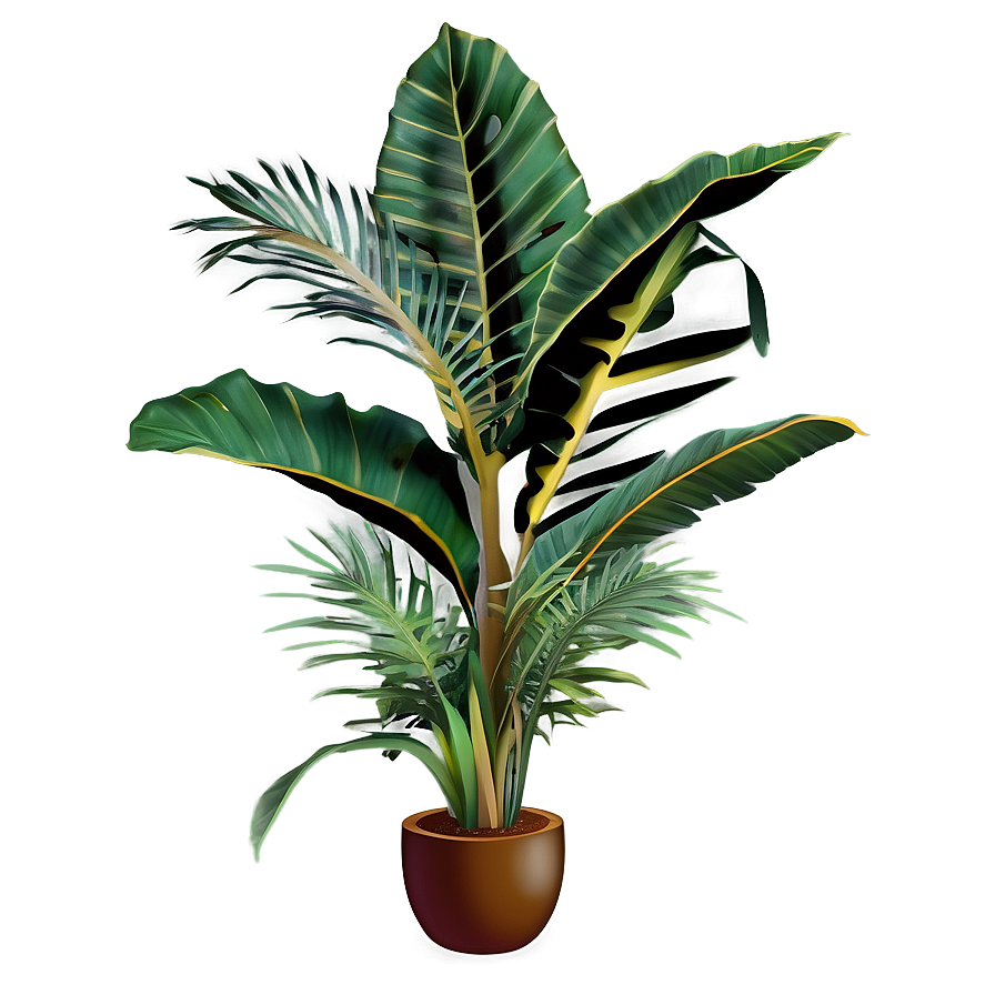 Tropical Plant Set Png 42