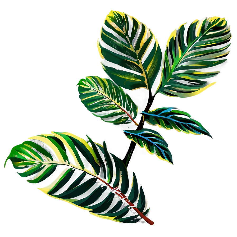 Tropical Plant Sketches Png Nbk