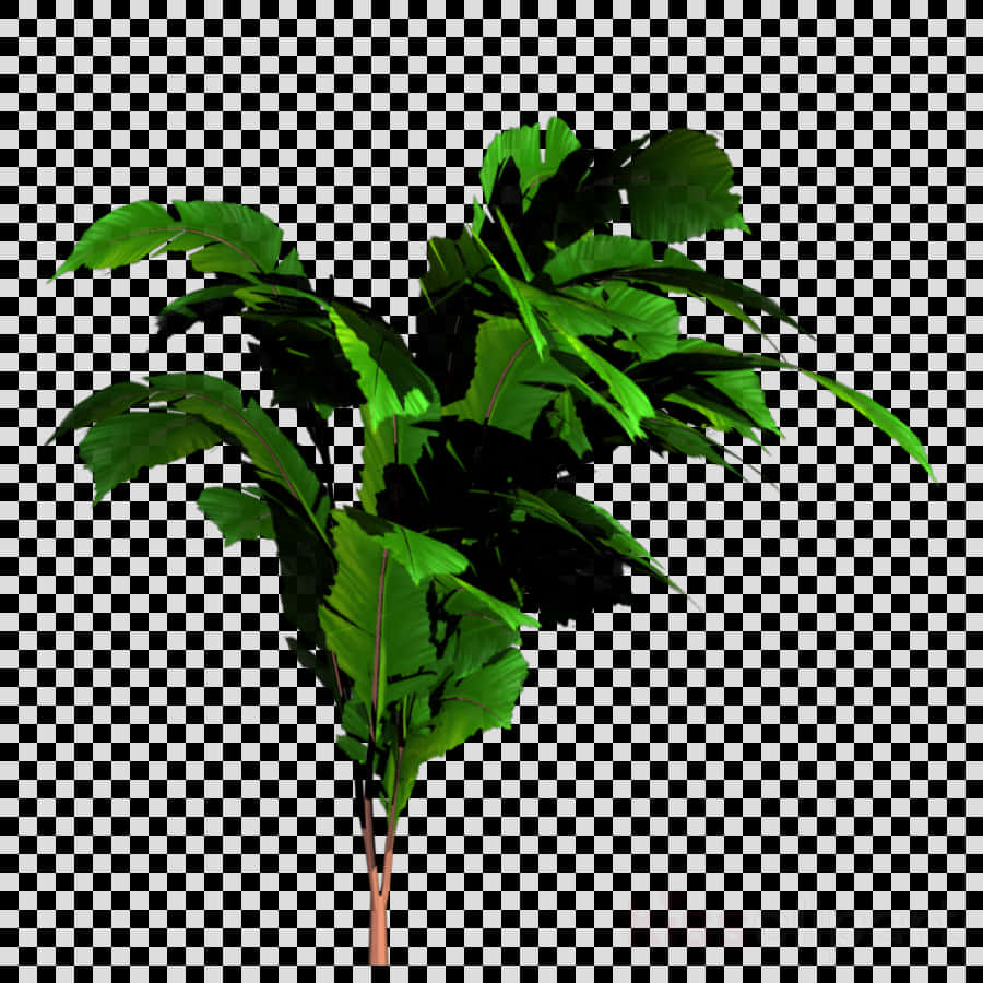 Tropical Plant Transparent Background