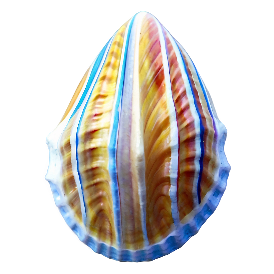 Tropical Seashell Design Png 88