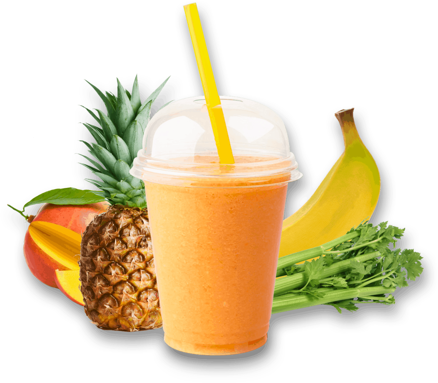 Tropical Smoothie Delight