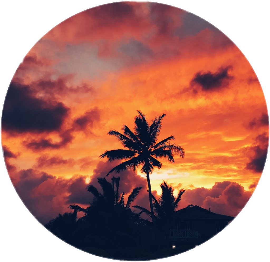 Tropical_ Sunset_ Glow