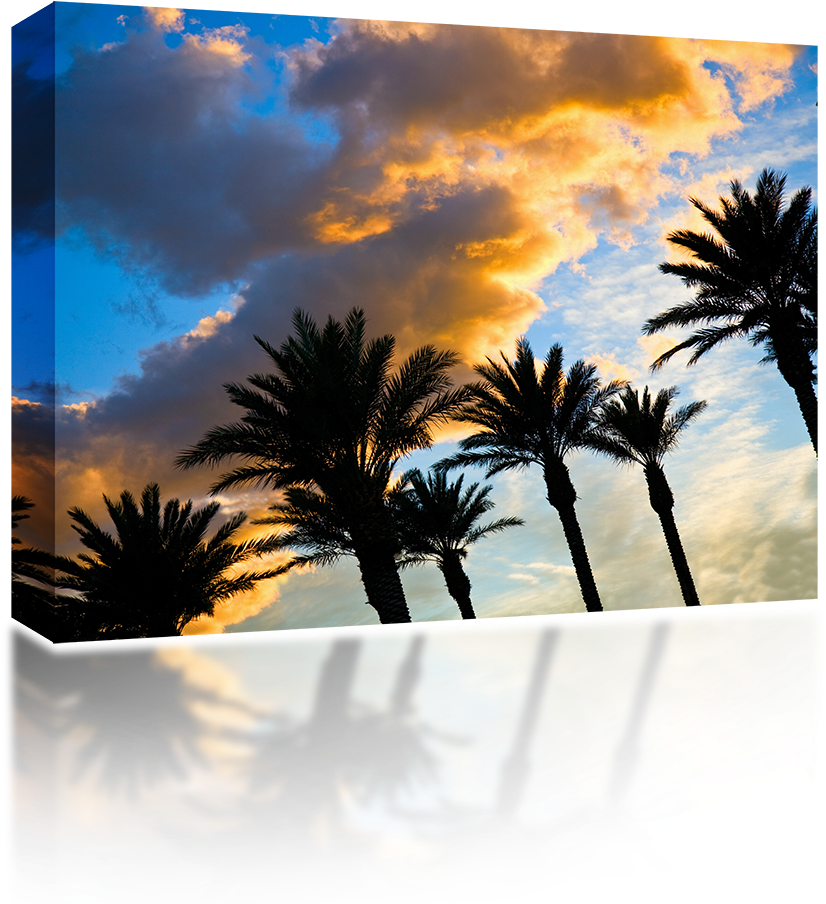 Tropical_ Sunset_ Silhouettes