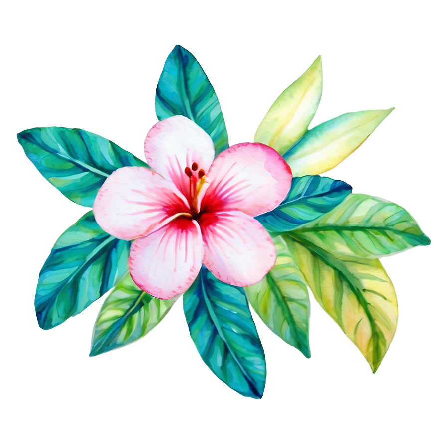 Tropical Watercolor Flowers Png Vjt47