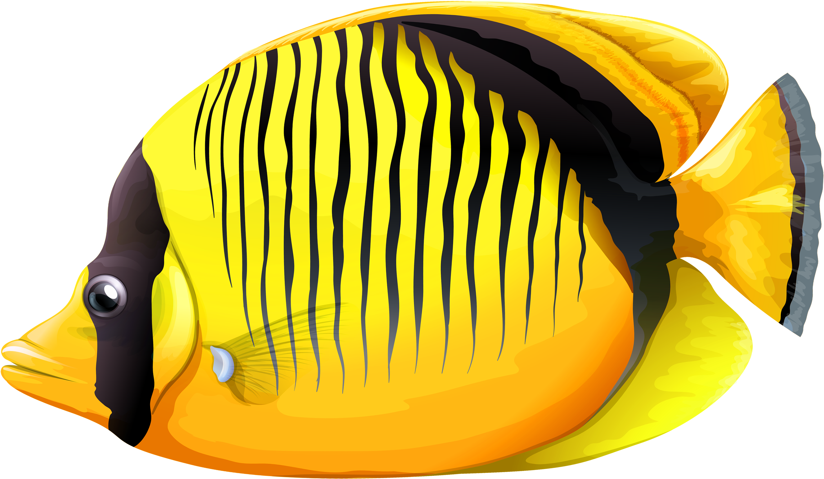 Tropical Yellow Black Striped Fish