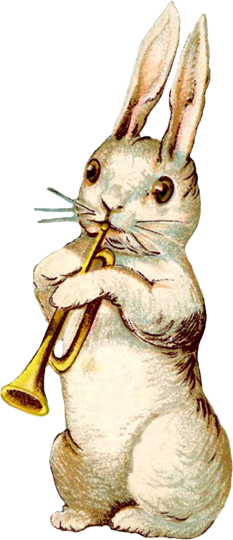 Trumpet Playing Bunny Illustration