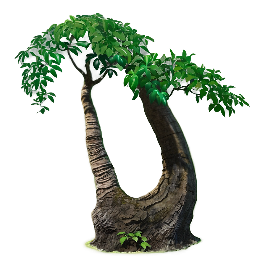 Trunk With Plants Png 58