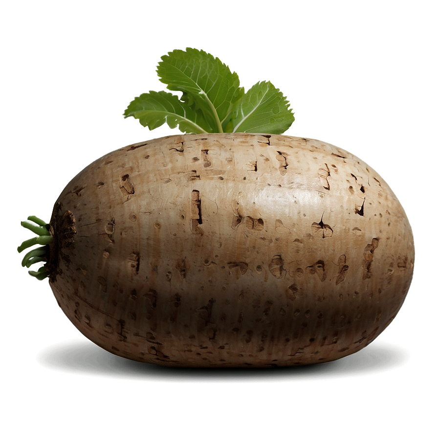 Tuber Icon Png 05252024