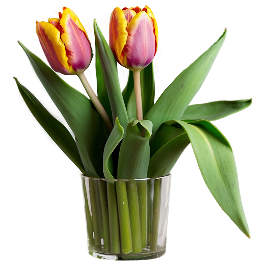 Tulip Arrangement Png Epn5