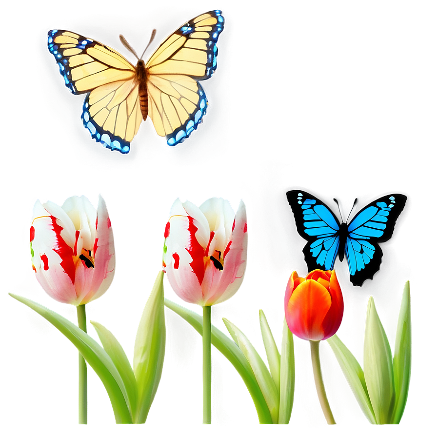 Tulips And Butterflies Png 05242024