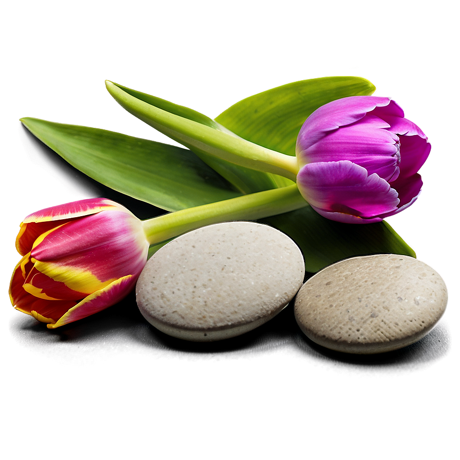 Tulips And Pebbles Png Ywn13