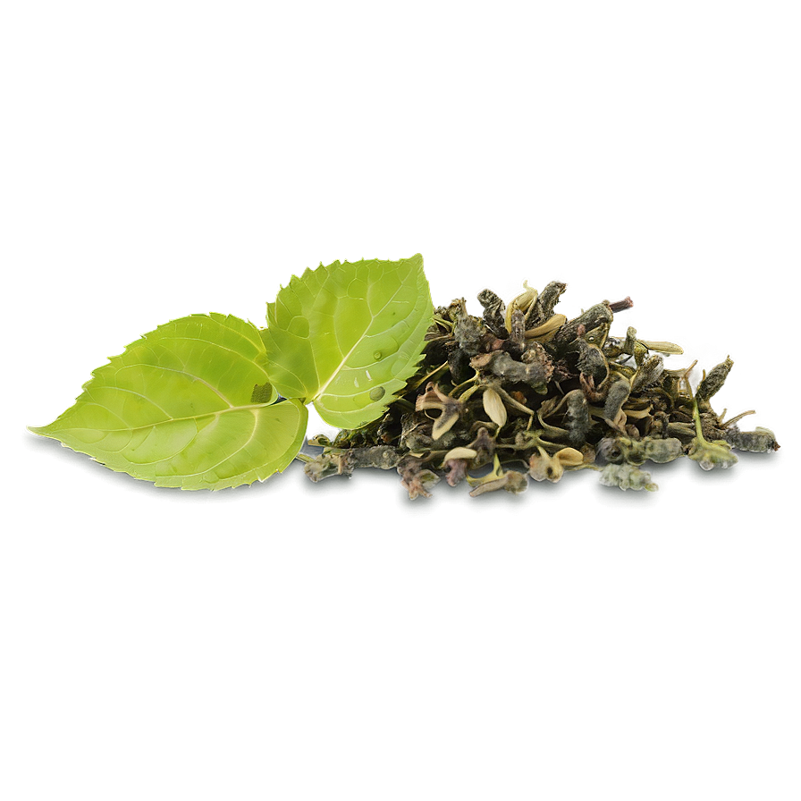 Tulsi Tea Leaf Png Tnk