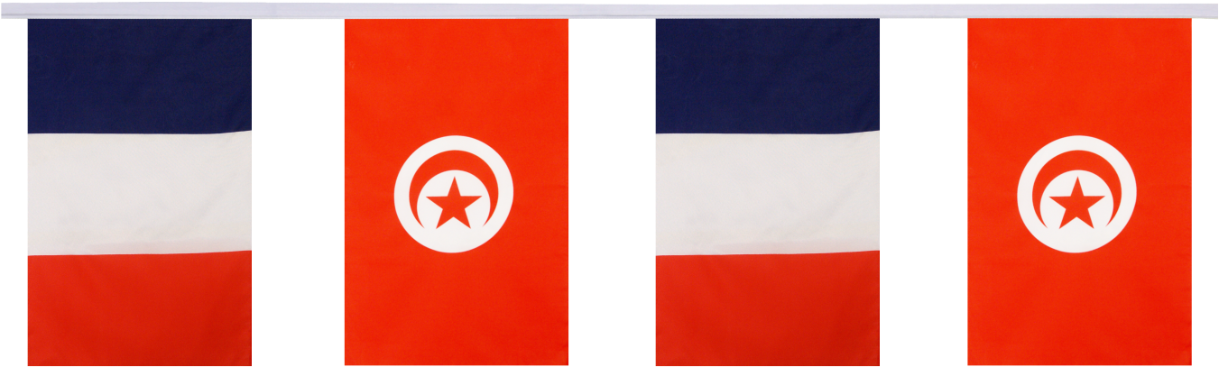 Tunisiaand France Flags Displayed Together