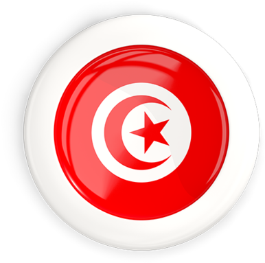 Tunisian Flag Button