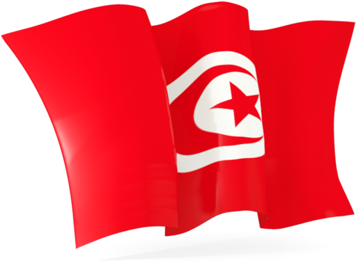 Tunisian Flag Waving