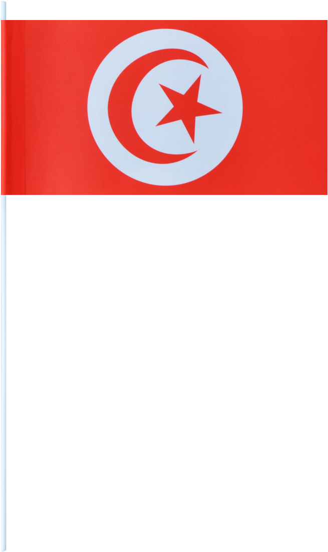 Tunisian National Flag