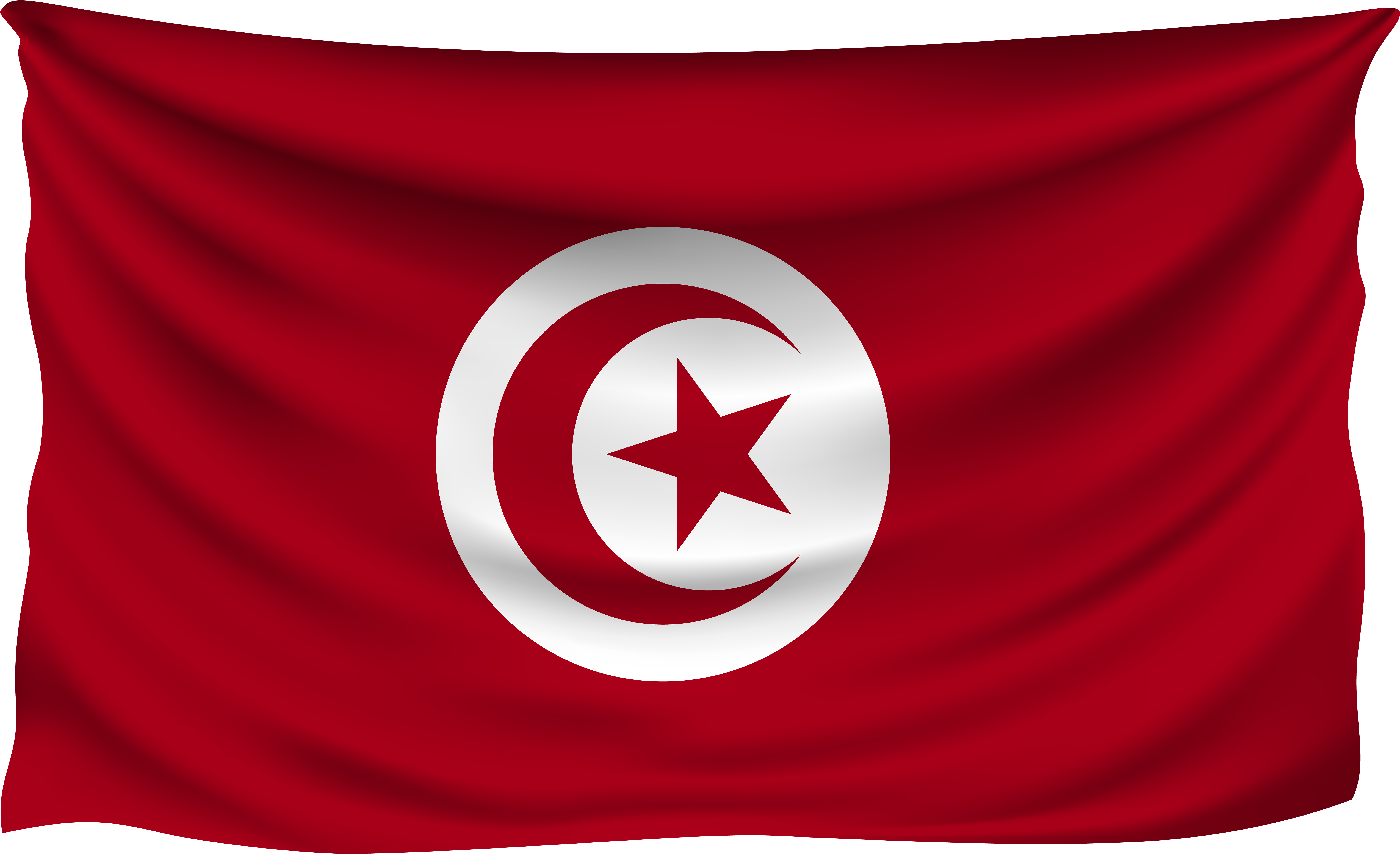 Tunisian National Flag Waving