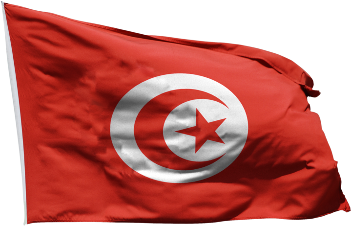 Tunisian National Flag Waving