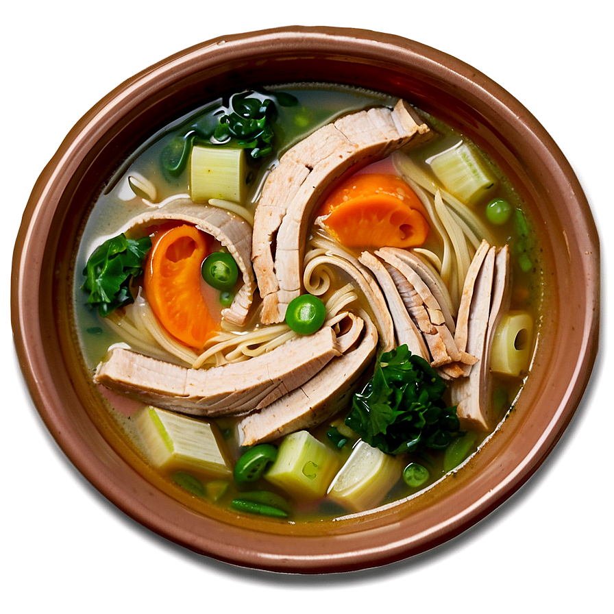 Turkey Noodle Soup Png 05242024