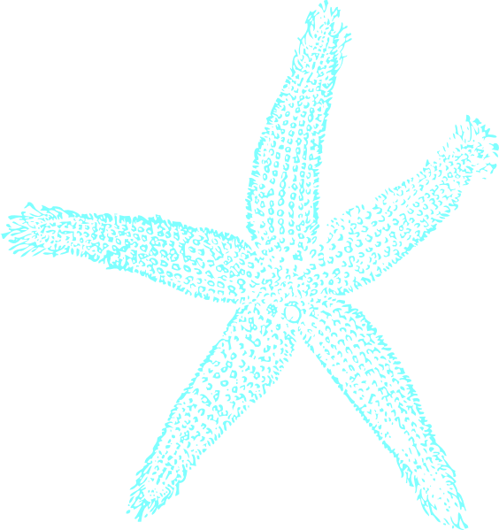 Turquoise Starfish Clipart