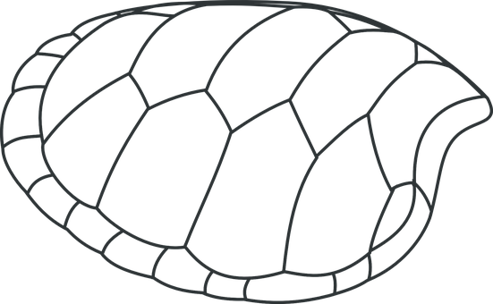 Turtle Shell Outline Graphic