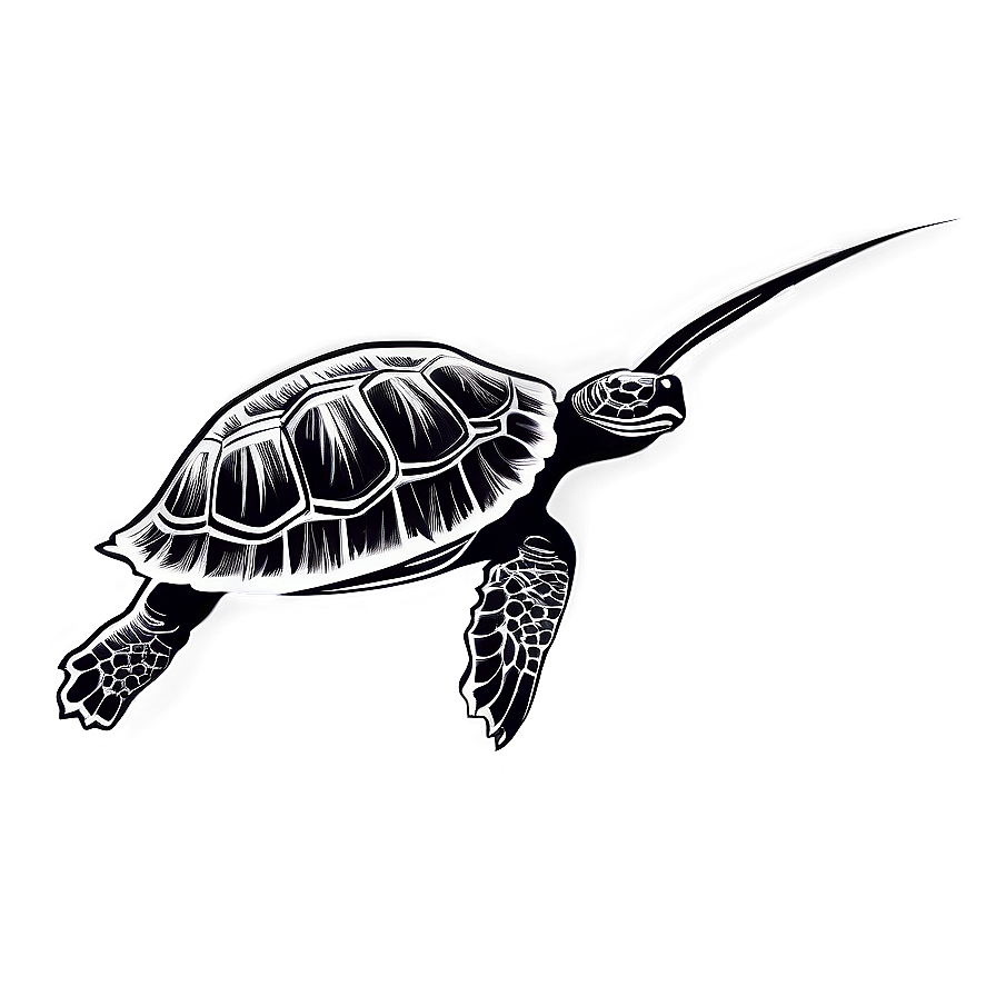 Turtle Silhouette Graphic Png Klo