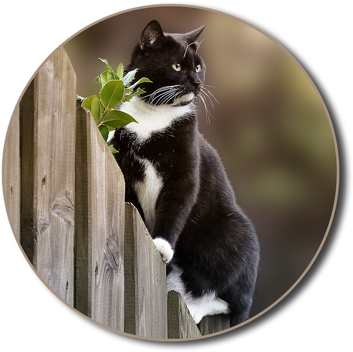 Tuxedo Caton Fence