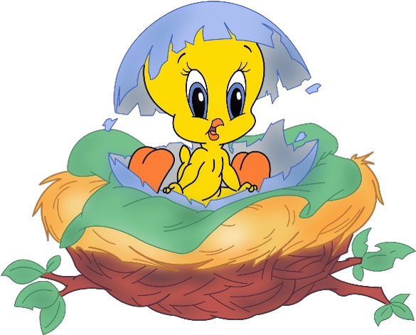 Tweety Bird Hatchingfrom Egg