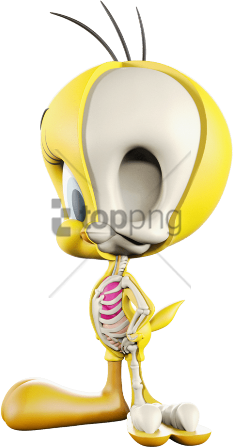 Tweety Bird Skeleton Reveal